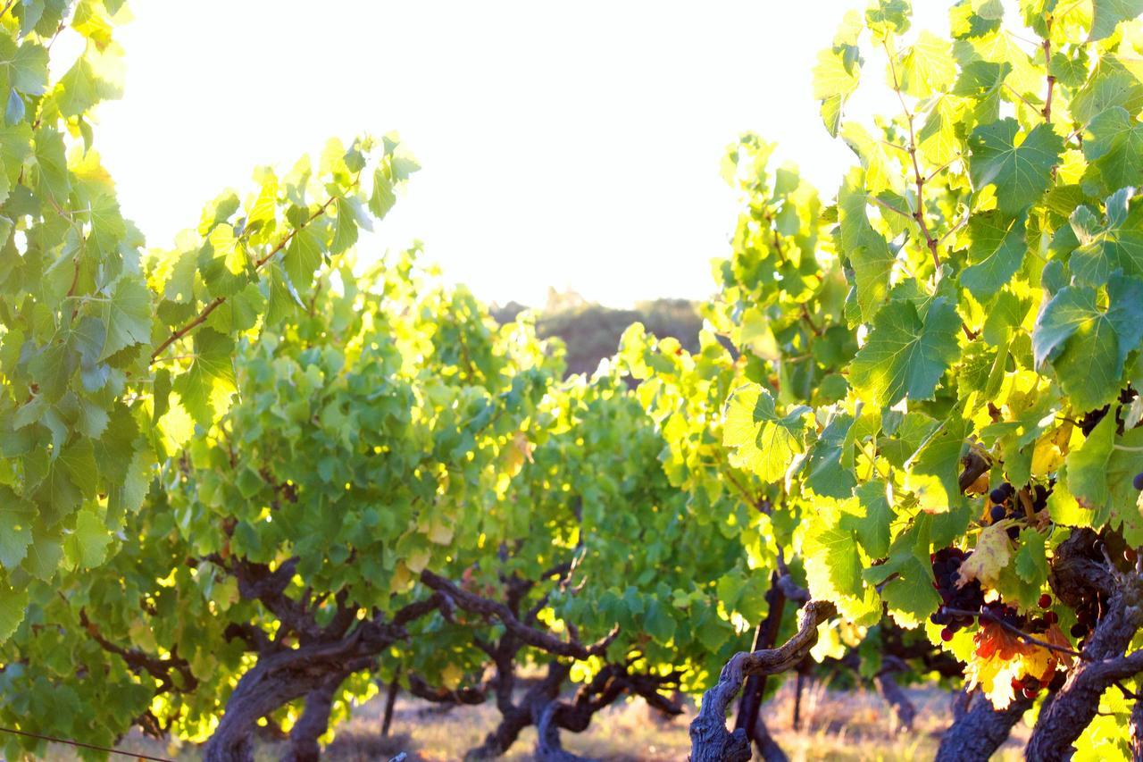 Bed & Breakfast At Tiffany'S Mclaren Vale Eksteriør bilde
